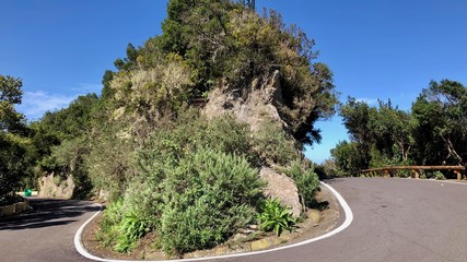 Santa Cruz de Tenerife © Maciej