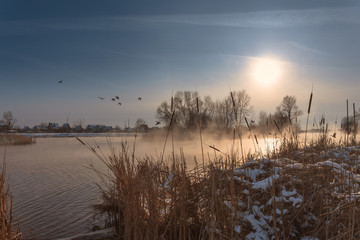 Winter sunset landscape. Flock of ducks, flying over snow-covered foggy river bank.