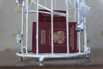 Two Russian passports are closed to the castle in a beautiful white iron cage on the desk.