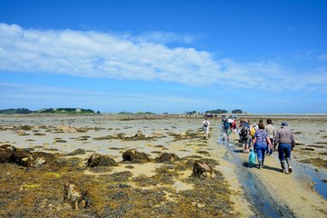 Traversée des entre les îles pour la procession du pardon aux chevaux de Saint-Gildas en Bretagne
