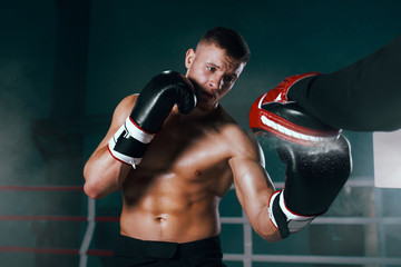 Plakat professional boxer on boxing ring, boxing training