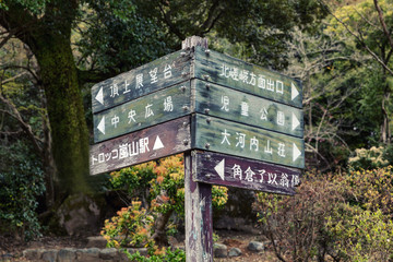 Direction signs in the Japanese park
