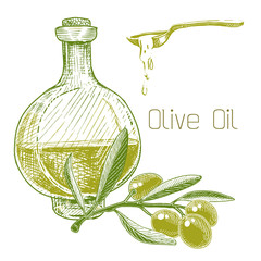 Olive oil in a bottle and an olive branch with green berries. Ink sketch. Spoon with oil.