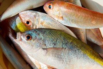 Mix colorful fresh fishes.