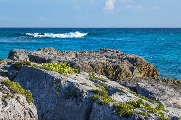 Fototapeta na wymiar Rocky shore with turquoise blue sea water. Caribbean, Riviera Maya, Cancun, Mexico.
