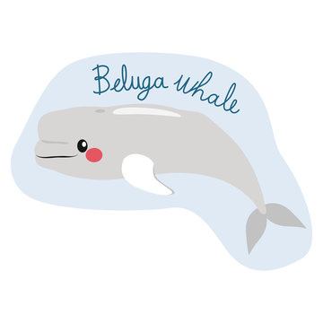 Cute beluga whale illustration swimming on water with text