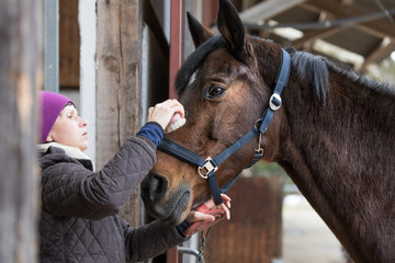 woman com the head of a horse