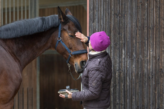 woman pet a horse
