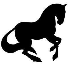 rearing up horse fine vector silhouette and outline - graceful black stallions