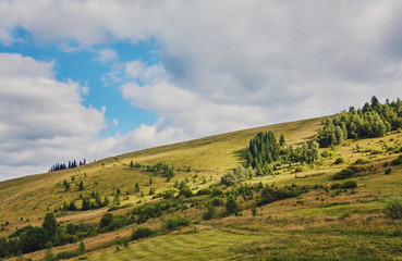 hay stack on the grassy meadow in mountain. beautiful countryside landscape under the blue sky