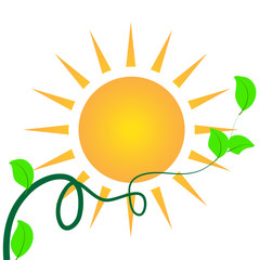 Sun with green leafs logo id card vector 