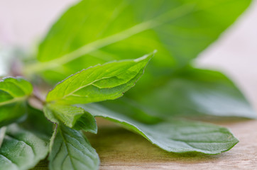 Fresh mint on the wooden, close up,macro
