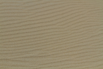 Fototapeta na wymiar Sandy beach background with lines