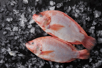 Obraz premium Two red tilapia fish with ice on black stone background, top view