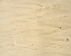 Repeating patterns in sand 1