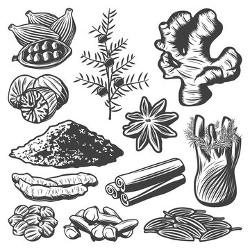 Vintage Spices Collection