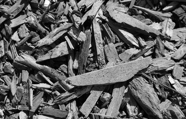 Wood chips _ B&W