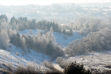 Winter landscape with snow