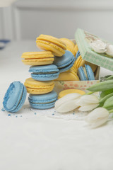 Obraz na płótnie Canvas blue and yellow macaroons poured out of the box, beside lies a bouquet of tulips