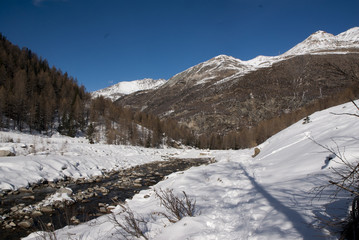 Fototapeta na wymiar Winter in mountain