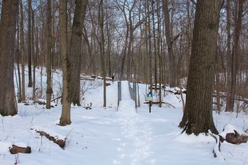 In front of the snow covered swinging bridge in the forest. 
