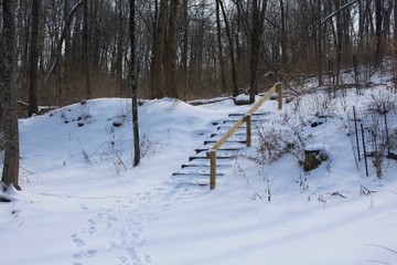 The snow covered landscape and the wood stairs.