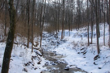 The flowing creek in the snowy forest on a cold winter day.