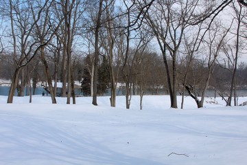 View of the snowy park with the river in the background.