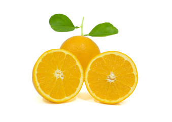 ORANGE  slice