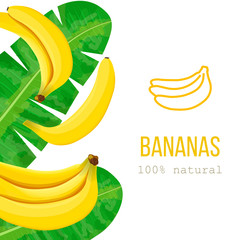 Ripe Bananas and palm leaves with text 100 percent natural. Vertical stripe label. free space. Vector illustration with tropic motif. Concept idea for logo, tag, banner, advertising, prints, wrapping