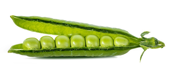 peas isolated on white background