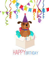 Happy birthday puppy in box card