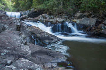 Tropiccal forest waterfall in Gold Coast hinterland, Queensland, Australia