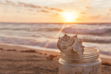 Fototapeta na wymiar Closeup Of Sea Shells Collected In A Grass Jar On Tropical Sandy Beach