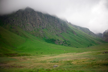 Landscape high mountains in dense fog tops of mountains in clouds North Caucasus Elbrus