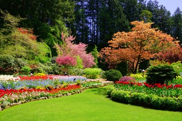 Butchart Gardens, Victoria, Canada. Vibrant spring colors of the sunken garden.