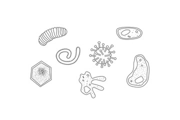 Microbes Collection. Drawing of microscopic organisms, vector illustration.
