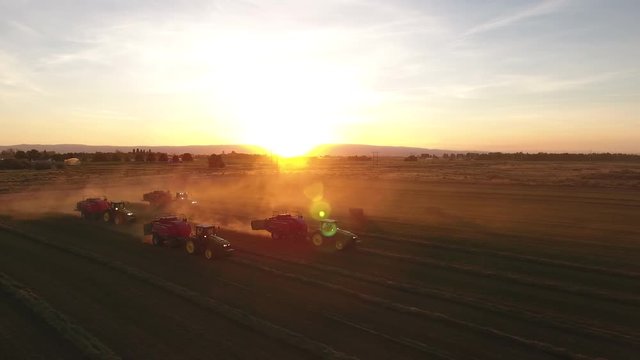 Aerial Balers in Alfalfa at Sunset