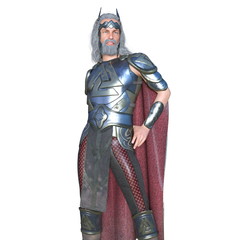 Obraz premium 騎士