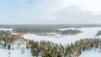 Winter landscape