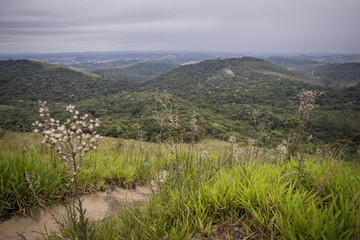Naklejka premium Serra do Mursa - SP