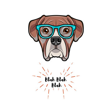 Boxer dog wearing in glasses. Boxer geek. Vector illustration.