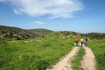 Obraz premium Family walk by tourist route in spring