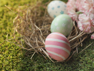 Close up of hand painting Easter eggs with pastel pink color and white stripes on bird nest with other Easter eggs and Spring flowers background with beautiful sunrise light