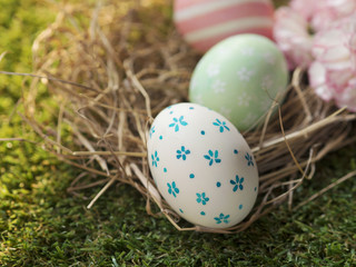 Fototapeta na wymiar Close up of hand painting Easter eggs with white color and blue flower pattern on egg shell, on bird nest with other Easter eggs and Spring flowers background with beautiful sunrise 