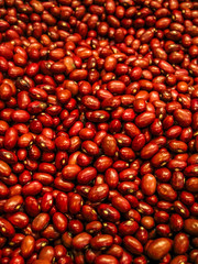 Bean on Municipal Market in Sao Paulo