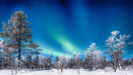 Fototapete Rund Aurora Borealis over winter wonderland scenery in Scandinavia © JFL Photography