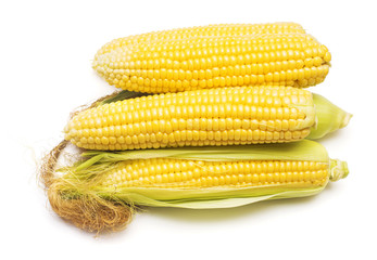 Corn with skin or without skin isolated on white background. A collection of corn. Top view, flat