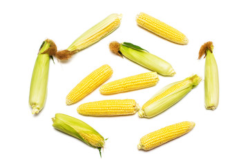 Corn with skin or without skin isolated on white background. A collection of corn. Top view, flat