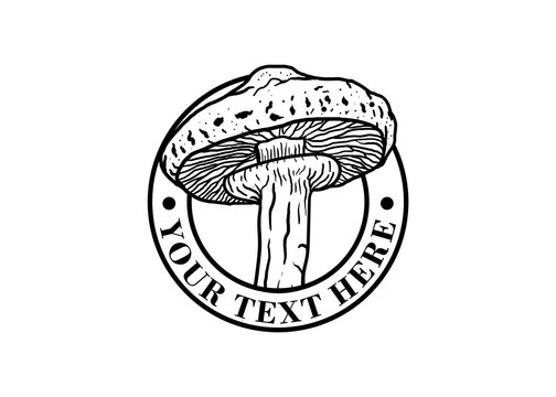 Mushroom vector vintage round badges, emblems, labels or logos